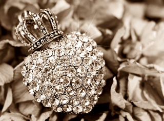 Illustration for article titled Need to Have More Jewelry? Consider Acquiring Quite a Few Online